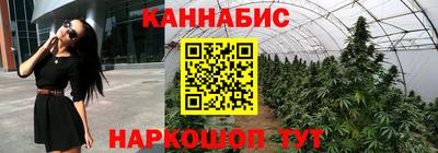 apvp Гусев