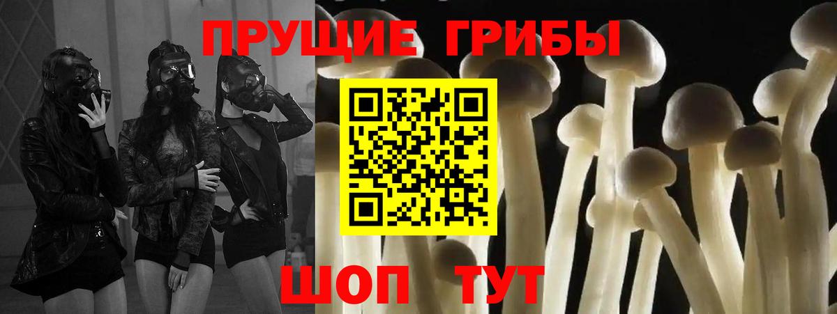 Надым  Псилоцибиновые грибы GOLDEN TEACHER  Вход с VPN 